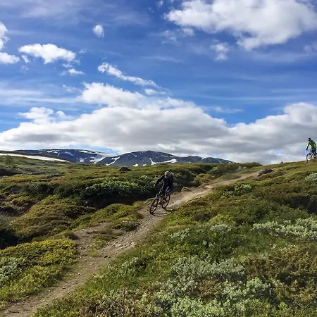 Liatoppen Fjellhotell Al