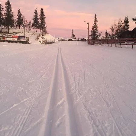 Liatoppen Fjellhotell 酒店