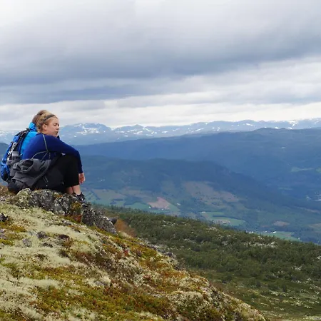 Liatoppen Fjellhotell Al