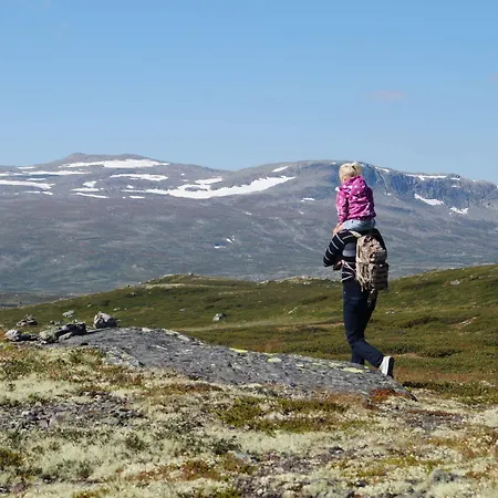 Hotel Liatoppen Fjellhotell Al