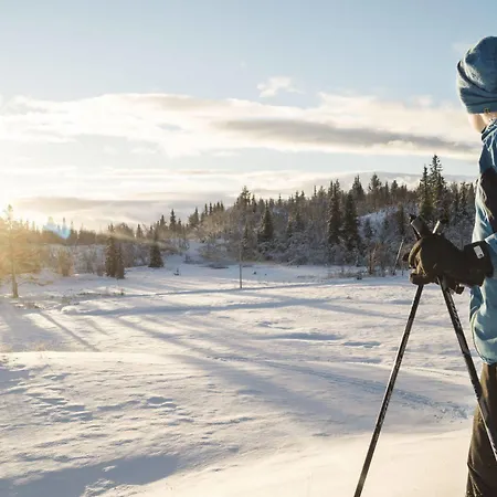 Liatoppen Fjellhotell Al