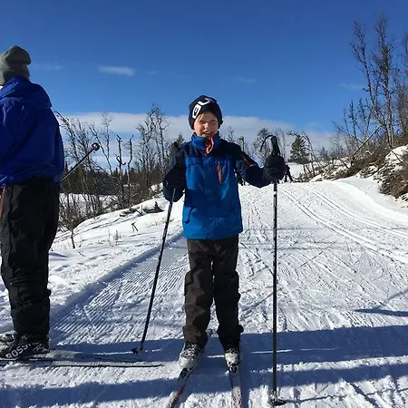 Liatoppen Fjellhotell Ål