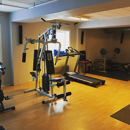 Liatoppen Fjellhotell 3* Ål