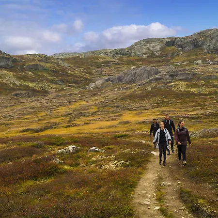 Liatoppen Fjellhotell Ål