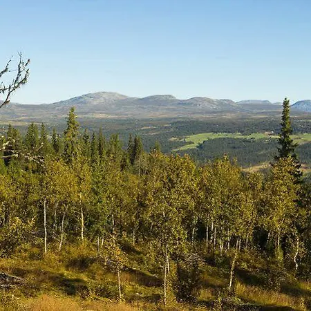 Hotel Liatoppen Fjellhotell Ål